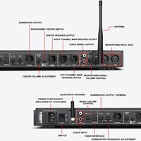 Depusheng REV3900 Procesador de efectos de audio de karaoke digital profesional Sing 2 con micrófonos duales