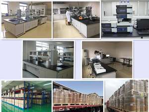 Fabrika kaynağı yüksek kaliteli pelvetia canaliculata özü pelvetia canaliculata tozu - Product Image 5