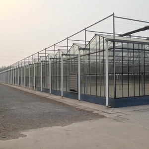 Chine <span class=keywords><strong>Jardin</strong></span> utilisé agriculture <span class=keywords><strong>verre</strong></span> vert maison <span class=keywords><strong>serre</strong></span> à ossature <span class=keywords><strong>en</strong></span> acier à vendre - Product Image 3
