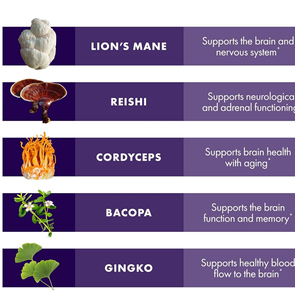 Mantar kapsülleri takviyeleri Reishi & <span class=keywords><strong>Cordyceps</strong></span> mantar bitkisel takviyesi bellek ve odak desteği için - Product Image 2