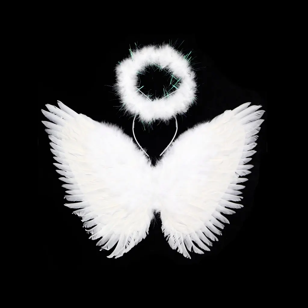 Angel Wings and Halo Headband Set for Parades Costume Party Show Accessories Feather Halo Wings Set Holy and Pure 40*40 Cm Fw05