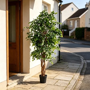 Planta Artificial de Banyan en Miniatura, Realista, Sin Mantenimiento, Follaje Artificial Perenne para Decoración de Paredes en el Hogar/Oficina - Product Image 4