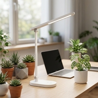 Lampe de table LED RG0 sans scintillement pour la protection des yeux, lumière de lecture à spectre complet pour enfants, lampe de bureau pliable et réglable, vente en gros