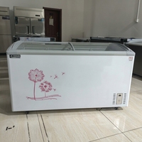 Congélateur commercial grande capacité en acier coloré pour glaces, avec portes coulissantes, étagères réglables, efficacité énergétique A+