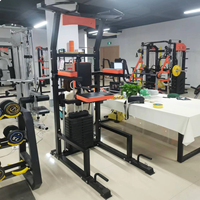 Torre de Ejercicios Multifuncional de Acero al Carbono con Estación de Dominadas Asistidas y Dip Station, Equipo de Entrenamiento de Fuerza para Gimnasio en Casa, con Pila de Pesas de 70 kg