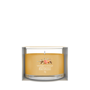 YANKEE CANDLE - CANDELA VOTIVE EN VERRE FEUILLES BRILLANTES - Product Image 1