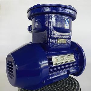 Moteurs électriques antidéflagrants série YBX4 220-315KW - Product Image 1