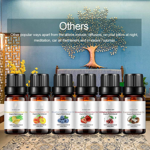 Tùy Chỉnh Nhãn Hương Thơm 100% Tinh Khiết Tự Nhiên Hoa Oải Hương Cây Trà Bạch Đàn Tinh Dầu Thiết Lập Phụ Nữ Cơ Thể Spa Massage Hương Liệu - Product Image 2