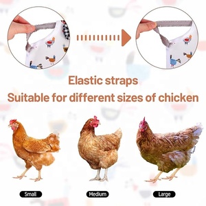 Beckon Correa Elástica Personalizada para Gallinas, Protector de Espalda, Chaleco, Sillín y Fijador de Plumas - Product Image 4