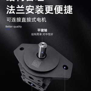 Pompe à palette YLC YB-E16 E25 E32 E40 E50 E63 E80 E100 E125 – Pompe à huile pour remplacement et réparation - Product Image 5
