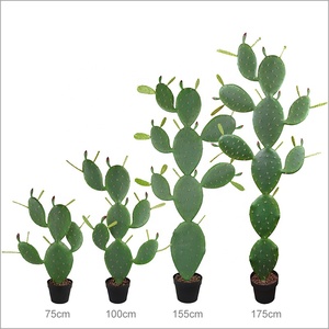 Vente en gros Grande plante Bonsaï Fleur en plastique <span class=keywords><strong>Cactus</strong></span> artificiel pour décoration de salle à manger - Product Image 2