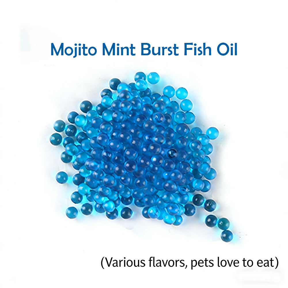 C(Mojito Mint Burst Fish Oil)