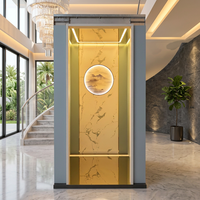 Ascenseur mural en métal brossé sur mesure, cabine d'ascenseur de luxe pour villa, ascenseur domestique, design personnalisé, OEM disponible, décoration