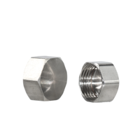 DKV 304 Capuchon hexagonal en acier inoxydable Filetage femelle ASME DIN JIS BS BSP Capuchon hexagonal fileté NPT 150 # Capuchon hexagonal fileté
