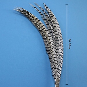 80-90Cm Bán Buôn Chất Lượng Cao Bán Hot Carnival Phụ Nữ Tự Nhiên Amherst Gà Lôi Side Tail Lông - Product Image 3