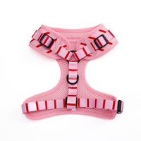 Ensemble Harnais pour Chien OEM d'Usine, Collier Rayé pour Animaux de Compagnie avec Laisse Durable, Harnais Anti-Traction en Maille Respirante Douce, Harnais Personnalisé pour Chien