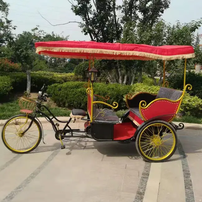 Parque de diversões elétrico usado rickshaw rickshaw, elétrico, auto rickshaw, preço em bangladese, 2 lugares, triciclo