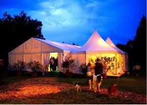 Tente 4 saisons Imperméable à louer Tente à cadre classique 20 'x 20' Party Marque Aluminium Pvc Proof pour mariage - Product Image 4
