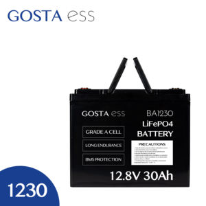GOSTA BA1230 30AH triciclo per autovetture Cargo turistico turismo trasporto veicolo sostituzione batteria di alimentazione - Product Image 2