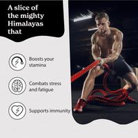 OEM/ODM 30G 50G Shilajit de l'Himalaya 75% Acide Fulvique Résine de Shilajit Pure Complément Alimentaire