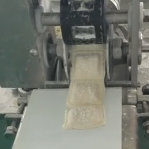 Machine à Pelmeni et à Ravioli pour Usines Alimentaires de Shanghai Chengtao - Product Image 4