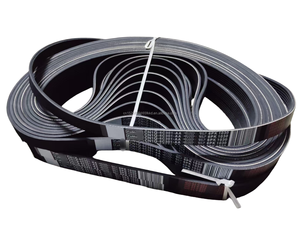 5L8Z8620AA 5L8E8K543AA 4513849 Sabuk Penggerak Pompa Air Mobil V-Ribbed Belt 3PK645 untuk FORD Mondeo III <span class=keywords><strong>2</strong></span>.5 <span class=keywords><strong>3</strong></span>.0 2000- Maverick Escape <span class=keywords><strong>3</strong></span>. 0 - Product Image 3