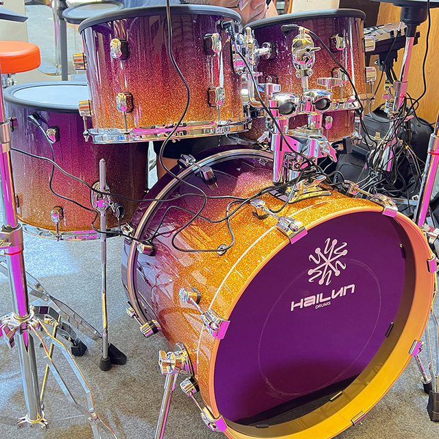 Hailun WD-12MAX Electric Drum High-quality Percussion Instrument Factory Direct Sales Factory Direct CHEAP