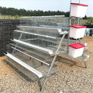 hot sales automatic 1000 chicken broiler cages