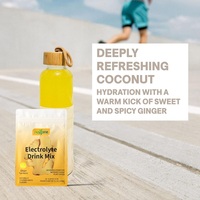 Poudre d'électrolytes de coco en marque blanche OEM, mélange pour boisson hydratante sportive au gingembre et curcuma, sans sucre ajouté, à base de plantes