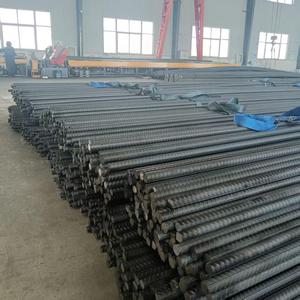 Boulons de roche <span class=keywords><strong>en</strong></span> acier au carbone galvanisé haute résistance certifiés ISO9001 pour les pentes, les murs, les fondations, les tunnels, les mines, diamètre 25 mm - Product Image 1