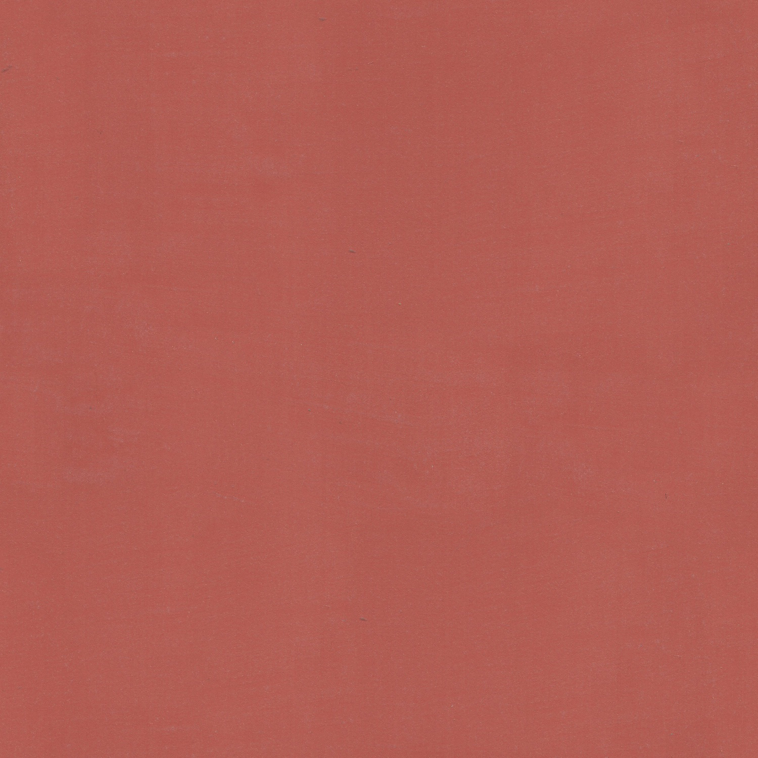 8117