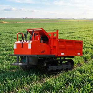 Cargadora de orugas diésel de 1 tonelada con volquete hidráulico, bomba y engranajes, alto momento de carga para granja/huerto/campana de arroz, aprobada por CE - Product Image 1