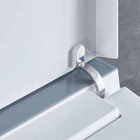 Toilette intelligente automatique MWD CE, vente en gros d'usine, avec télécommande et fonction bidet, idéale pour les projets hôteliers modernes