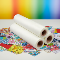 Papier de transfert PET haute température format A4, film DTF double face à décollement instantané pour impression numérique textile et vêtements, transfert thermique