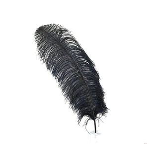 Menthe Naturel Plume Plumes D'autruche pour Fête Carnaval Maison Mariage Pièce Maîtresse De Noël Vase Vacances Décor DIY Artisanat Floral - Product Image 6