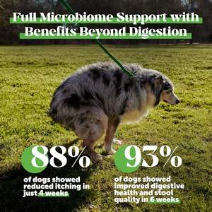 <span class=keywords><strong>Max</strong></span> Strength Probiotiques pour chats – Friandises à mâcher souples au poisson – Super durcisseur de selles – Fibres et enzymes digestives – Réduit la diarrhée occasionnelle - Product Image 5