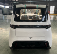 Voiture électrique mini EEC L6e-BP/L7e-CU, 2 places, petit véhicule électrique, voiture électrique pour adultes, faible vitesse, prix direct usine pour la vente en gros