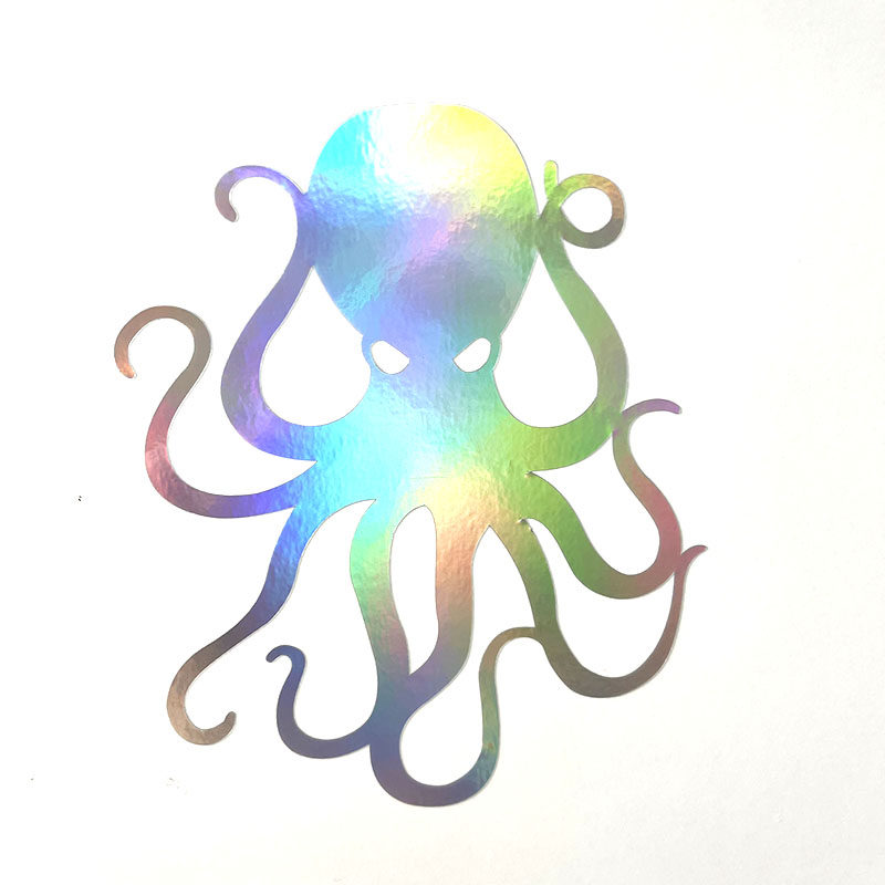 holographique couleur argent