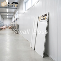 Panel de Pared de PVC para Casa Prefabricada, Construcción Modular, Impermeable, Ligero, Sistema de Enclavamiento