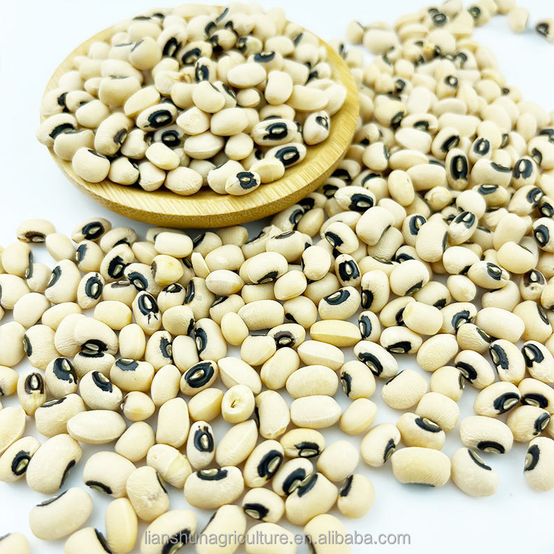 China High Sprouting Rate Green Mung