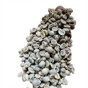 Grains de café vert crus non torréfiés entiers naturels pour torréfaction et brassage Mme Elena +84 966 659 976 - Product Image 4
