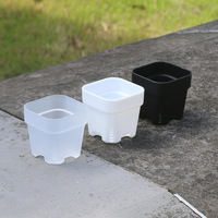 Pot Bunga Plastik Mini Persegi Grosir 2/2.5/3 Inci Desain Minimalis untuk Berkebun di Rumah, Pot Berdiri Indoor/Outdoor