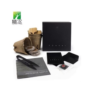 Juego de herramientas de bonsái de arce japonés hecho a mano, kit de estilo rural para principiantes entusiastas, uso de suelo colgante, incluye flores artificiales - Product Image 1