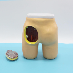 Enseignement médical Modèles avancés d'<span class=keywords><strong>injection</strong></span> <span class=keywords><strong>intramusculaire</strong></span> fessière et modèles de structure anatomique Ressources infirmières - Product Image 3