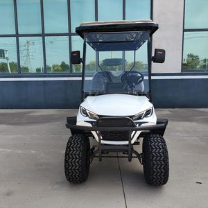 6 עגלת גולף רכב רכב סיור חשמלי צבעים מותאמים אישית - Product Image 2