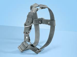 Arnés de Piel para Perros Pequeños y Grandes, Regalo para Mascotas - Product Image 2