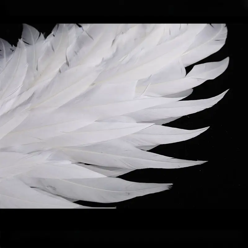 Halloween Decoration Angel Wings Feather Wings Adult Kids Black White Party Decoration Customizable Event Party Supplies SF038