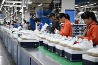 Mocassins pour hommes à boucle tigre dorée, grandes tailles 37-48, confortables, respirants, chaussures décontractées et habillées