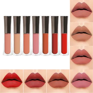 Private Label Liquid Matte Lipstick LOW MOQ NO LOGO Private Label Makeup Velvet Matte Liquid Lipstick Long Lasting Waterproof 3ml Vegan Waterproof Lipstick Set Usa