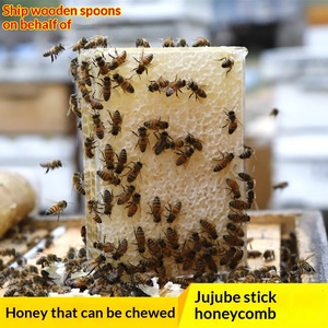 Panal de Miel Crudo Comestible Great Bazaar, Panal de Miel Puro Natural de Primavera, 100% Natural, Sin Aditivos, Sin Conservantes - Product Image 2